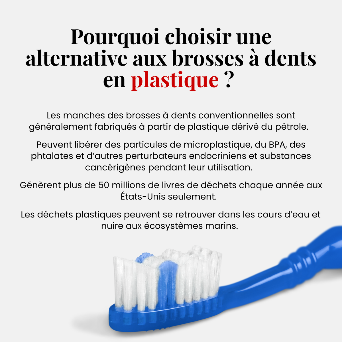 Pourquoi choisir une alternative aux brosses à dents en plastique