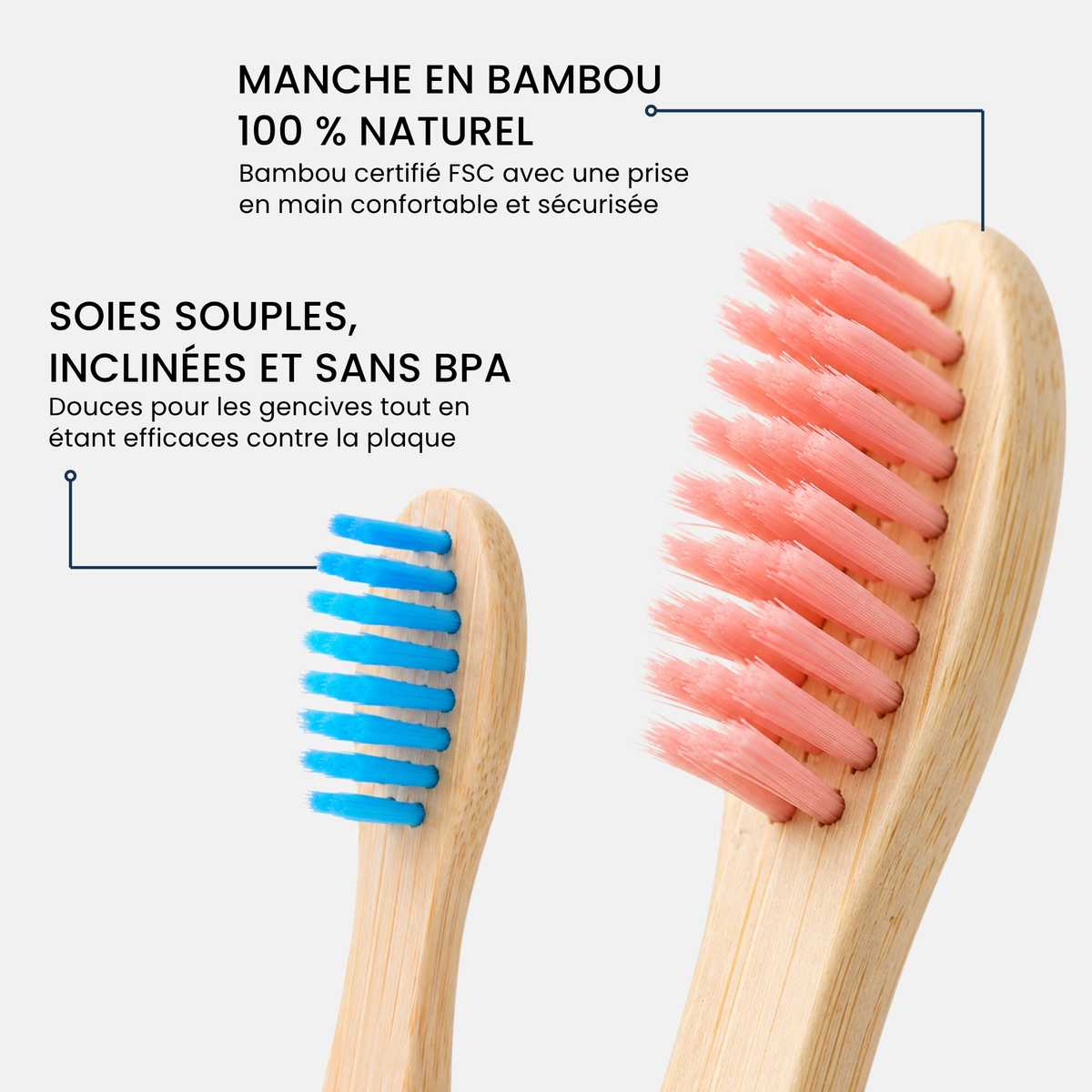 Manche en bambou 100 % naturel et soies souples, inclinées et sans BPA