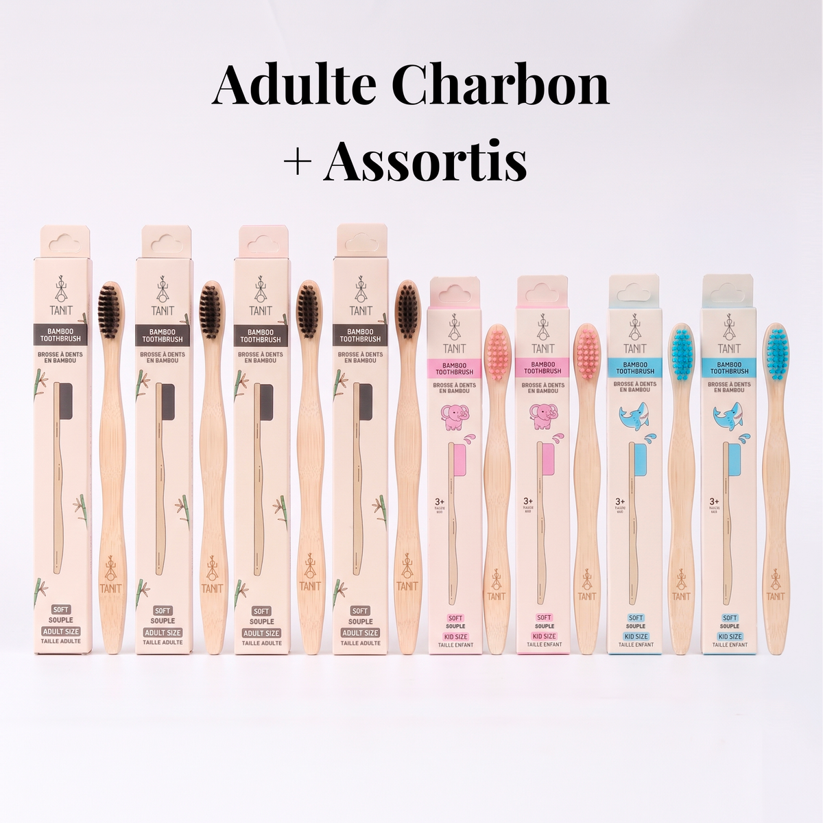 Adulte Charbon + Assortis : quatre brosses adultes Charbon avec un ensemble mixte de brosses enfants